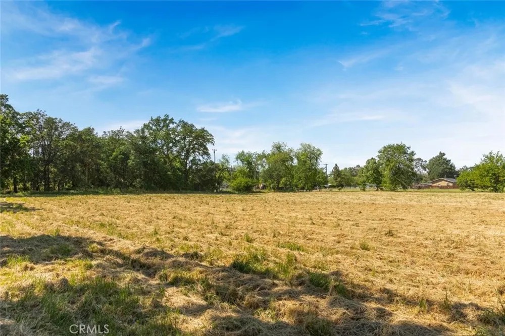 Wilson Street Los Molinos, CA 96055
