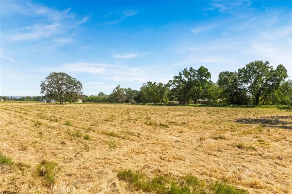 Wilson Street Los Molinos, CA 96055