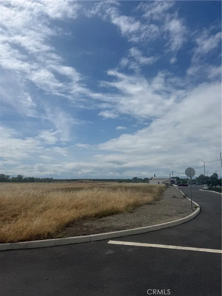 Cortina Court Orland, CA 95963