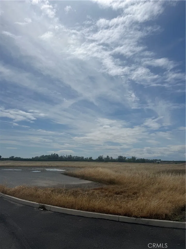 Cortina Court Orland, CA 95963