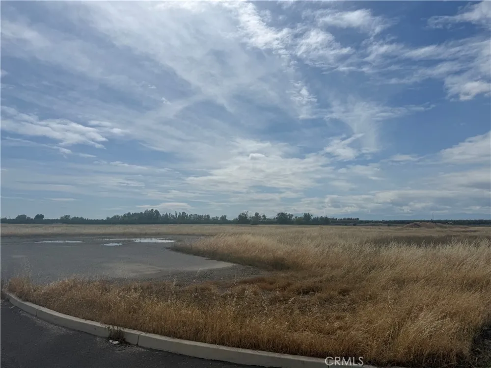 Cortina Court Orland, CA 95963