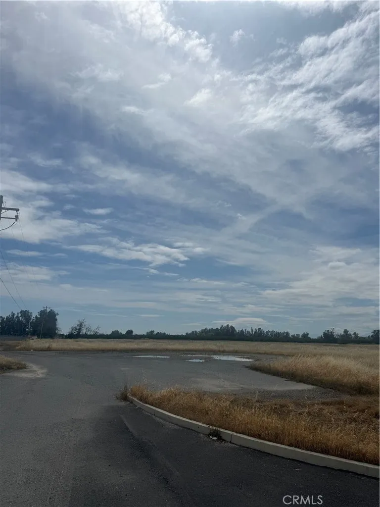 Cortina Court Orland, CA 95963