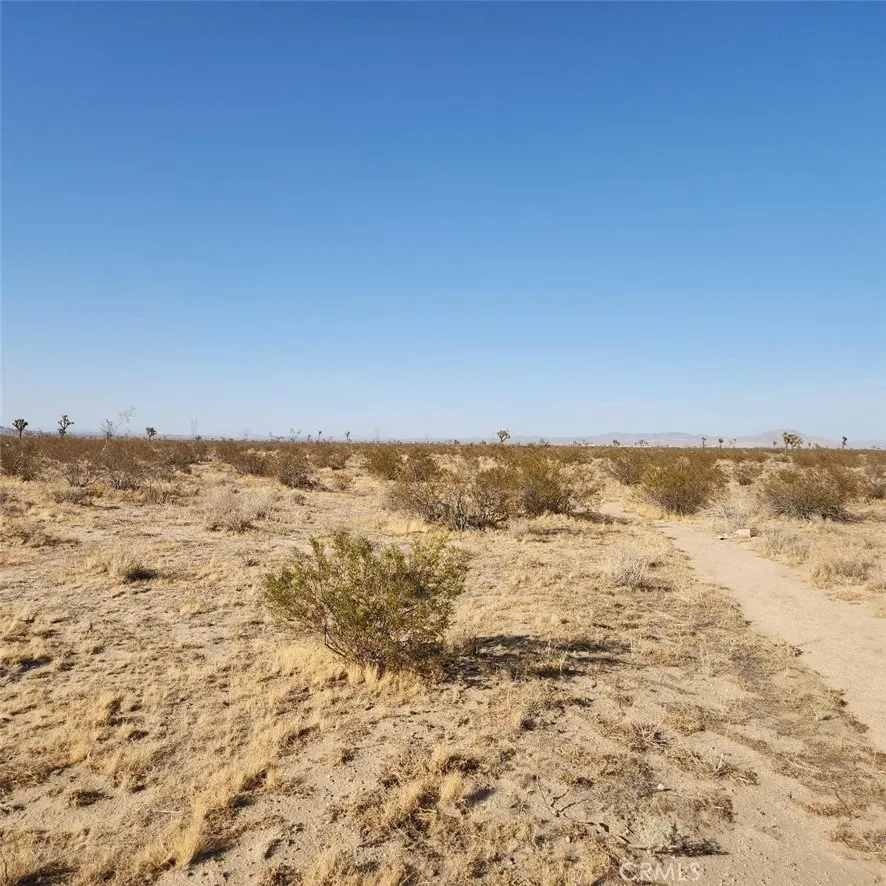 123 Wilson Ranch Road Phelan, CA 92371