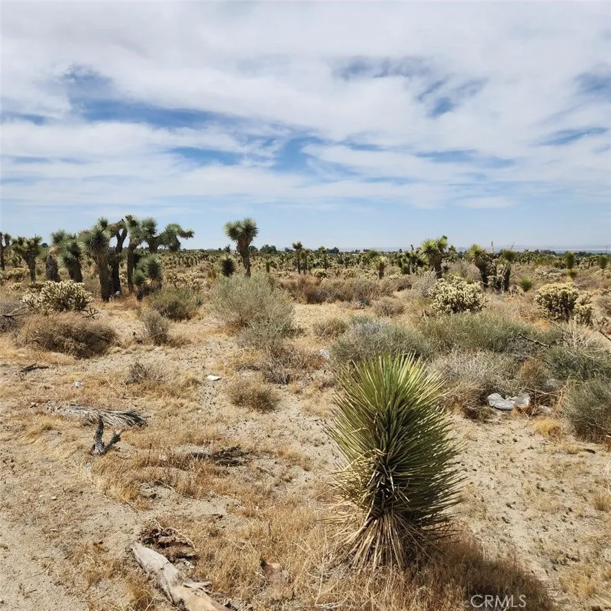 123 Wilson Ranch Road Phelan, CA 92371