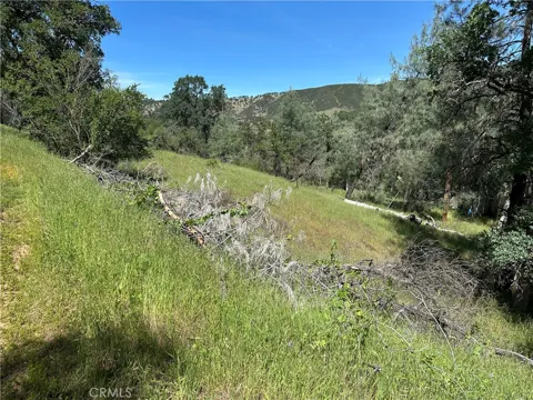 12939 Hill