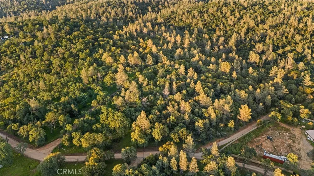 Ricky Road Oroville, CA 95966