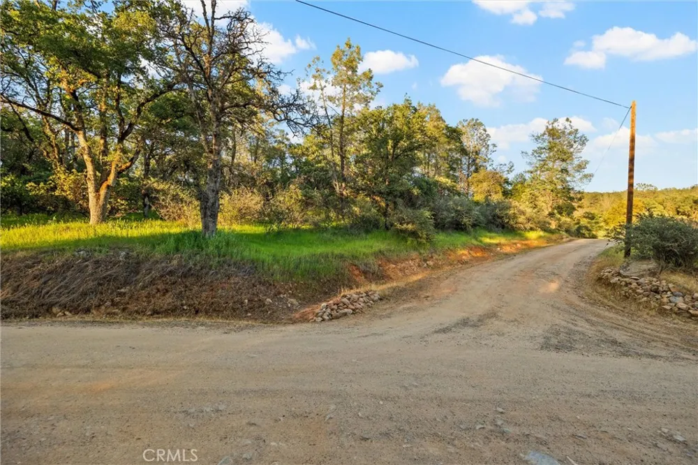Ricky Road Oroville, CA 95966