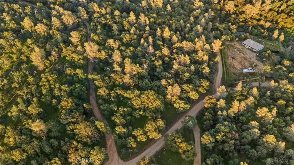 Ricky Road Oroville, CA 95966