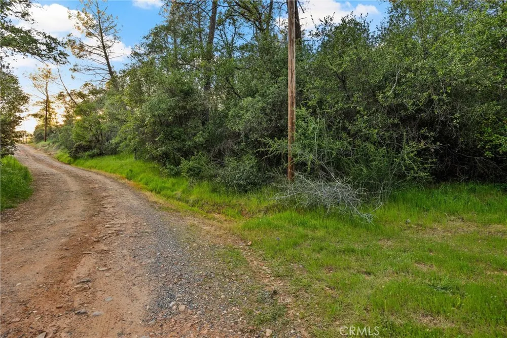 Ricky Road Oroville, CA 95966
