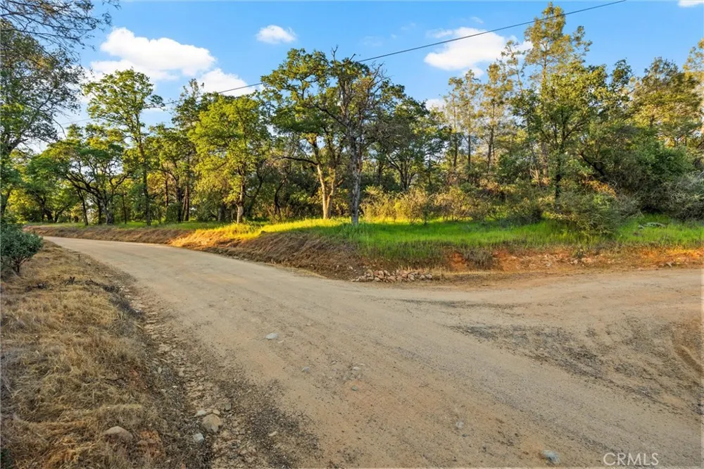 Ricky Road Oroville, CA 95966