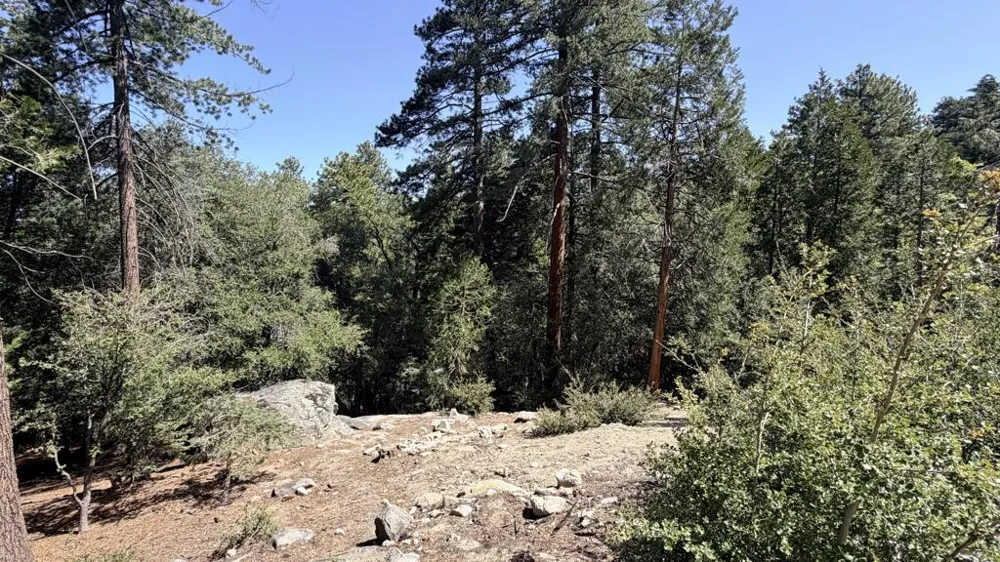 25235 Nestwa Trail Idyllwild, CA 92549