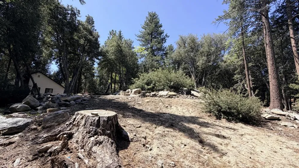 25235 Nestwa Trail Idyllwild, CA 92549