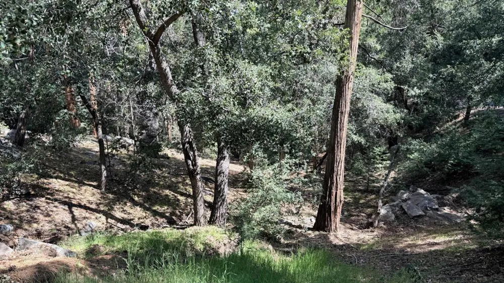 25235 Nestwa Trail Idyllwild, CA 92549