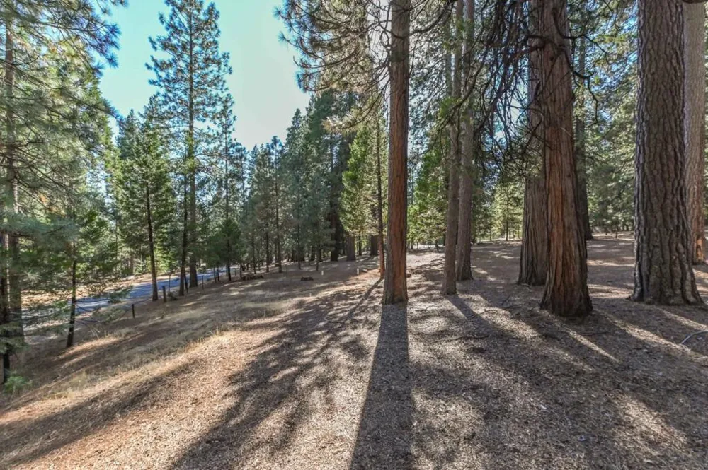 20175 E Pine Drive Pioneer, CA 95666