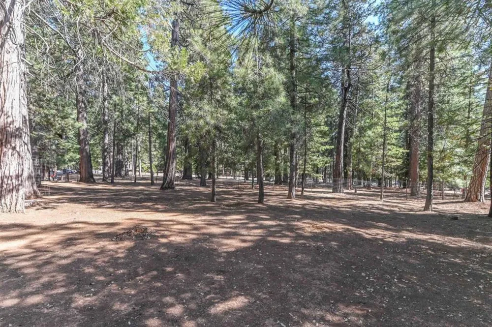 20175 E Pine Drive Pioneer, CA 95666