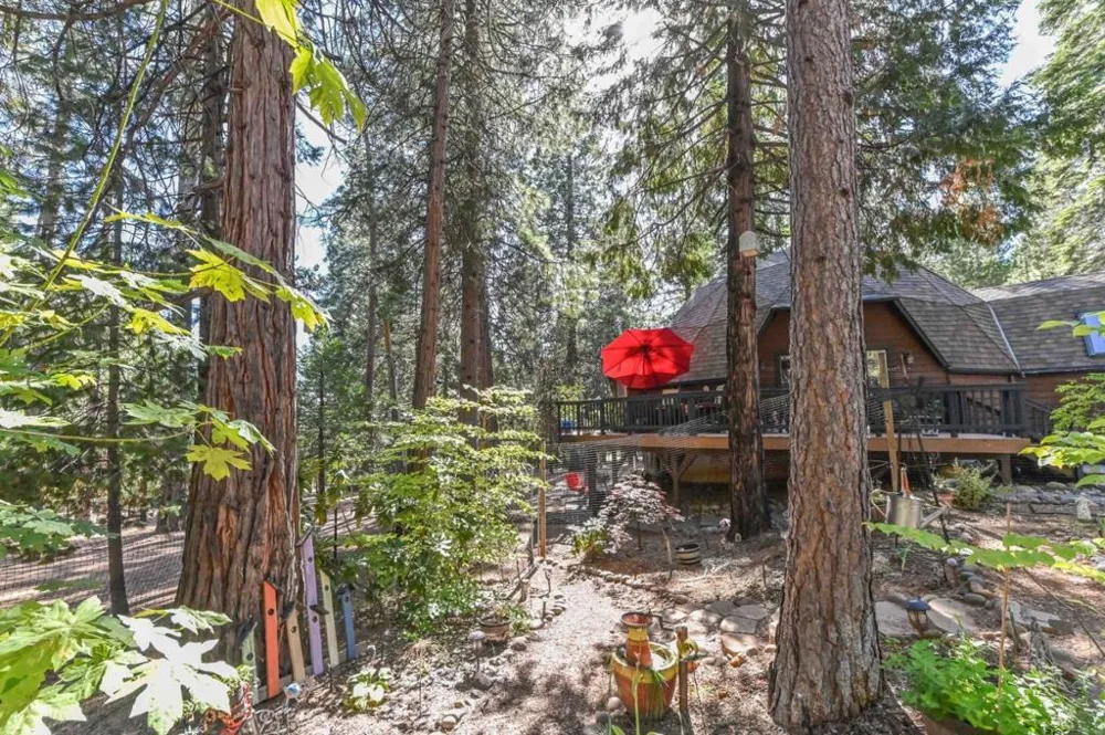 20175 E Pine Drive Pioneer, CA 95666