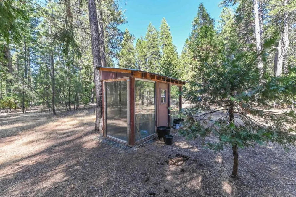 20175 E Pine Drive Pioneer, CA 95666