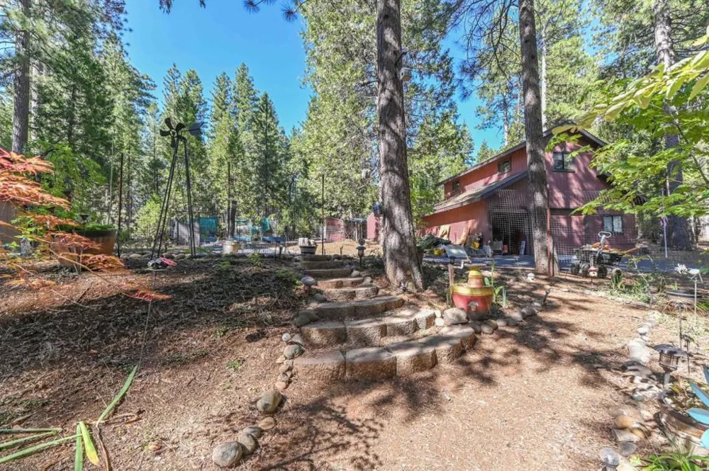 20175 E Pine Drive Pioneer, CA 95666