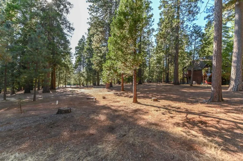 20175 E Pine Drive Pioneer, CA 95666
