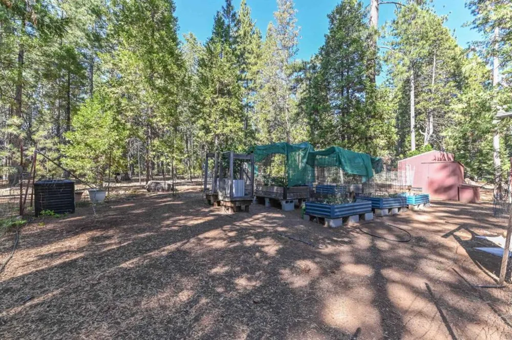 20175 E Pine Drive Pioneer, CA 95666