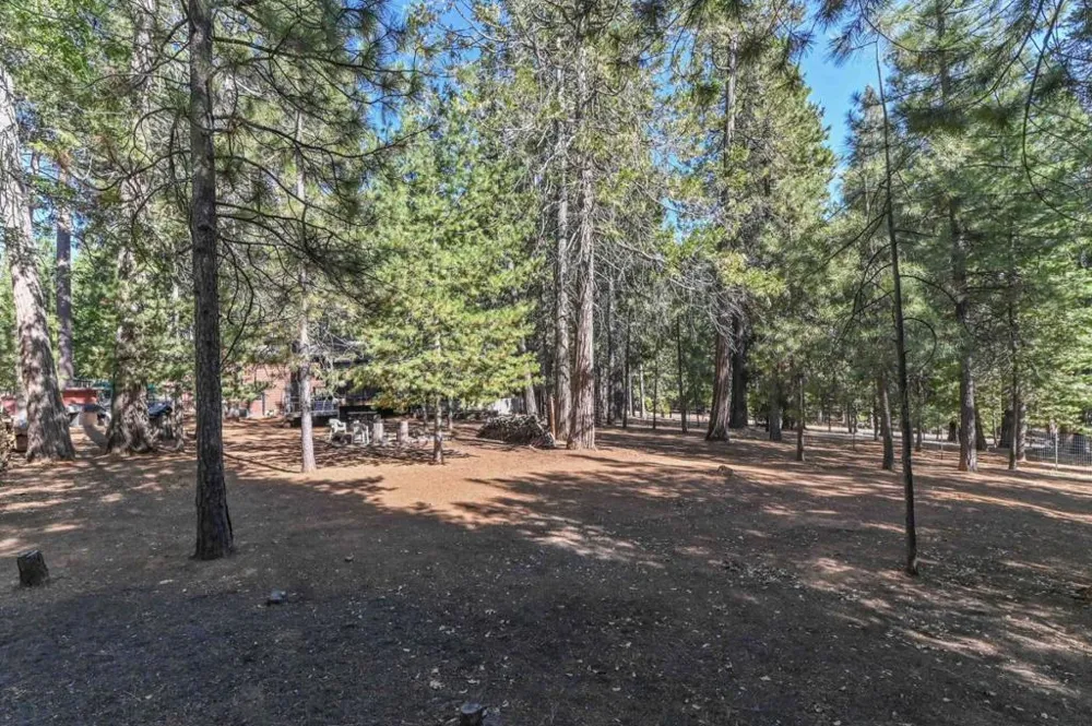 20175 E Pine Drive Pioneer, CA 95666