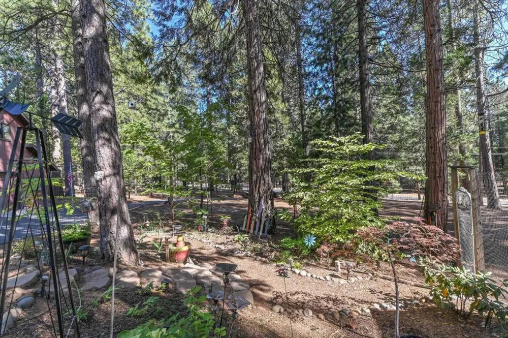 20175 E Pine Drive Pioneer, CA 95666