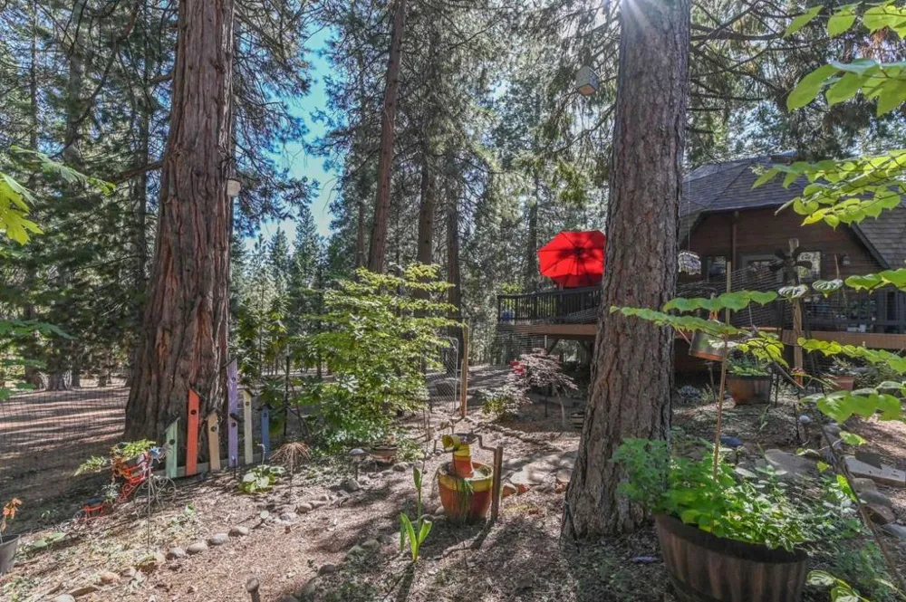 20175 E Pine Drive Pioneer, CA 95666