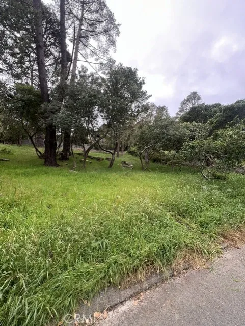 Mills Cambria, CA 93428