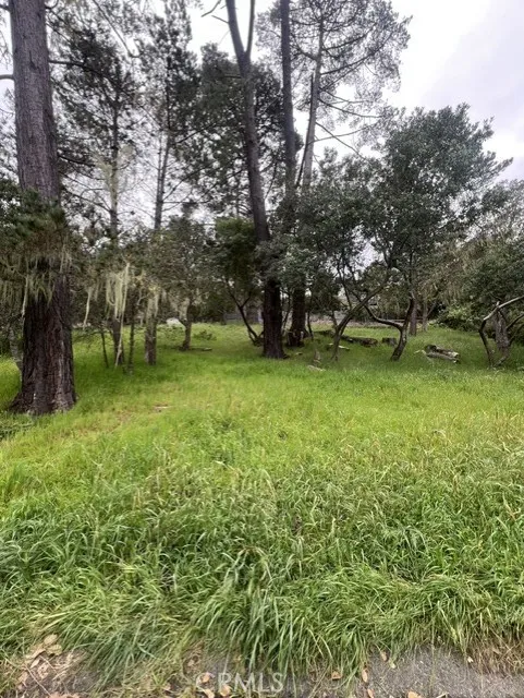 Mills Cambria, CA 93428