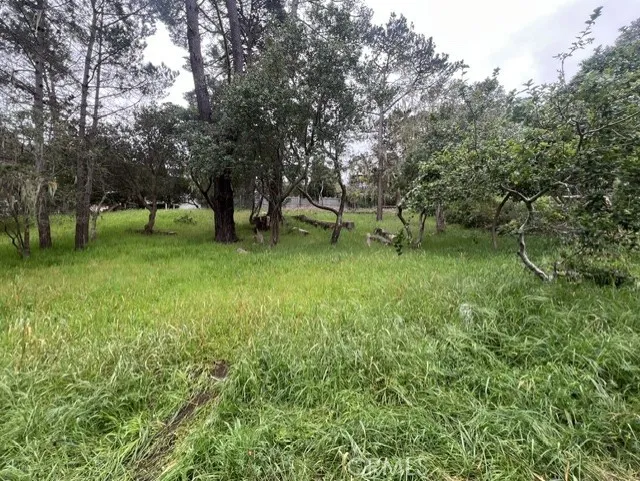 Mills Cambria, CA 93428