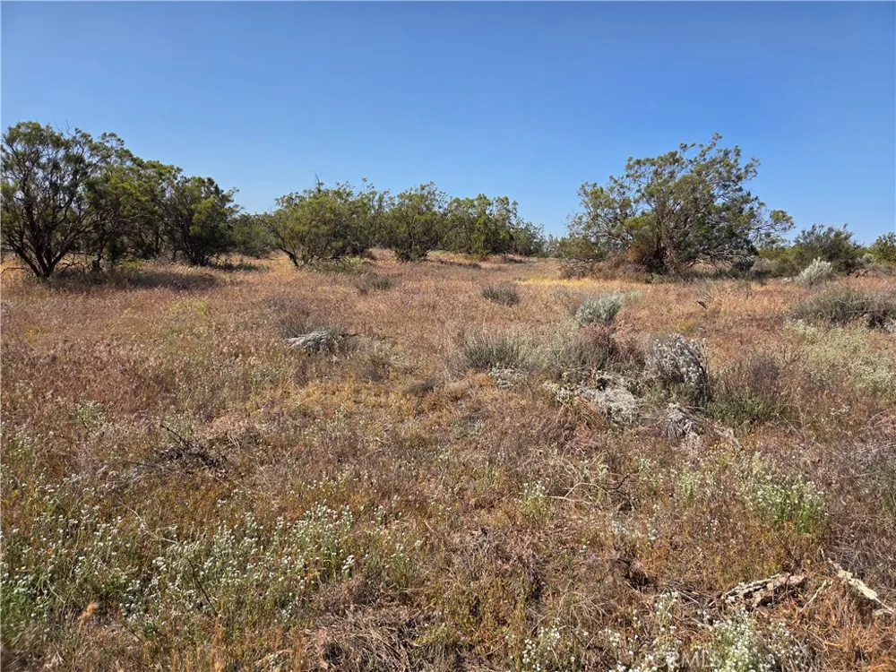 56941 Cain Anza, CA 92539