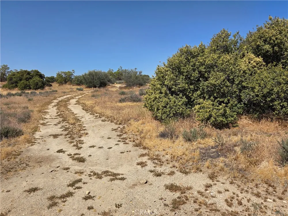 56941 Cain Anza, CA 92539