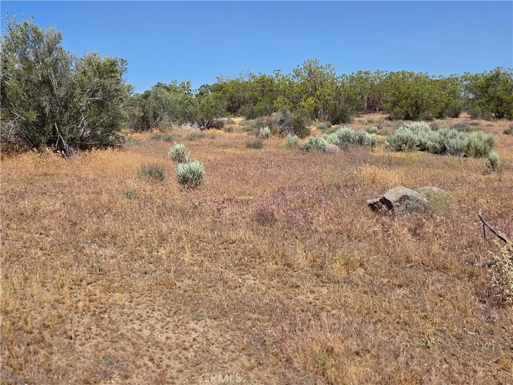 56941 Cain Anza, CA 92539