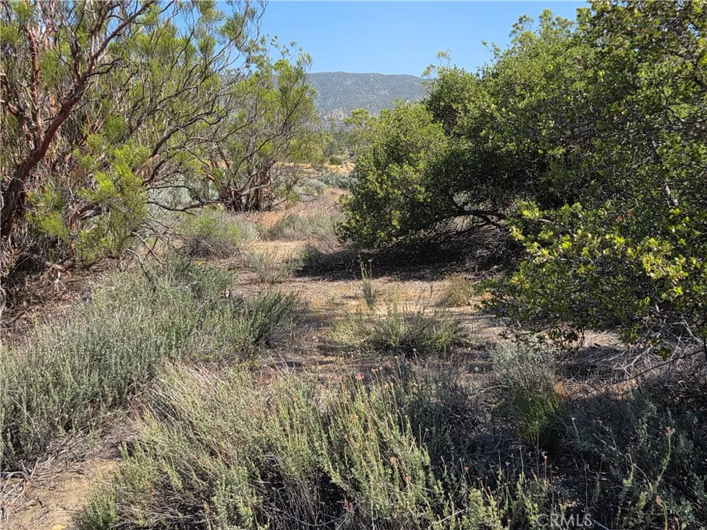 56941 Cain Anza, CA 92539