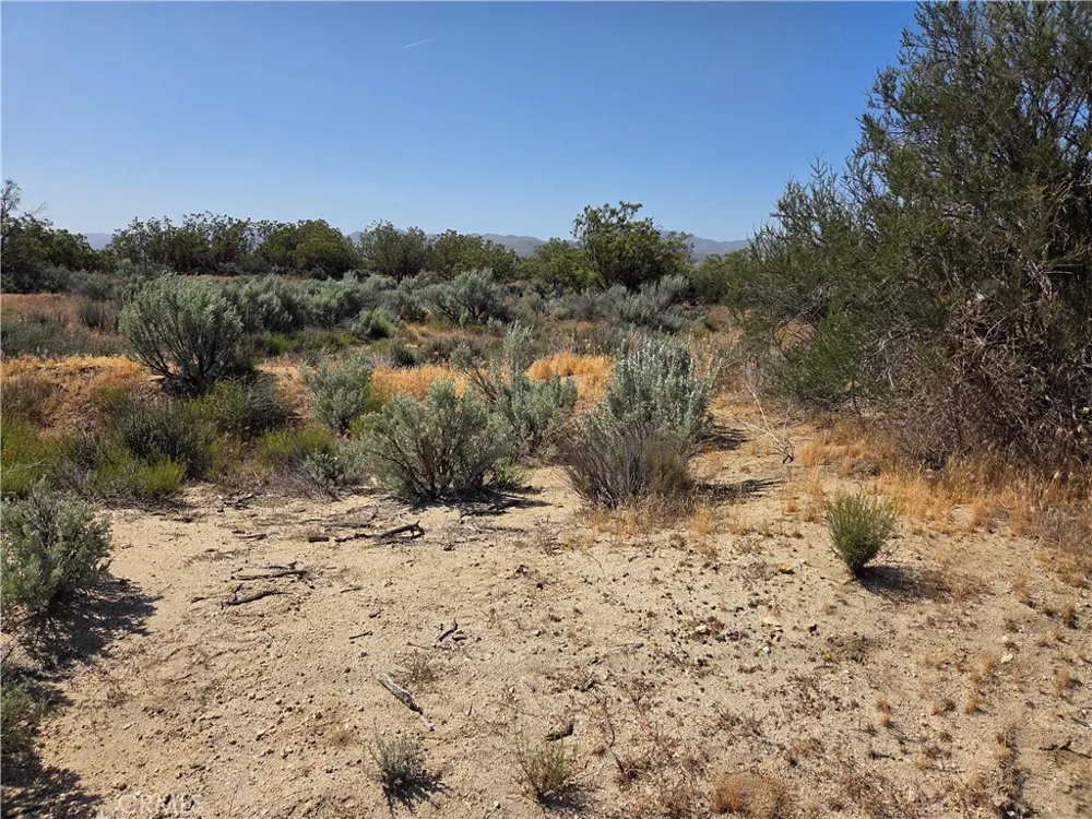 56941 Cain Anza, CA 92539
