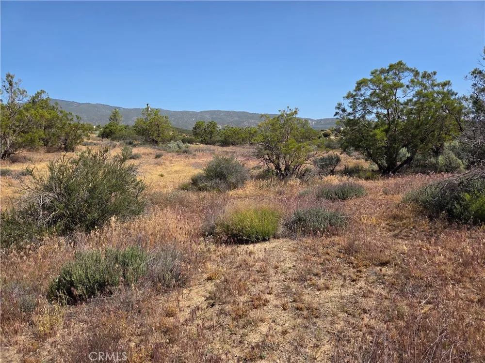 56941 Cain Anza, CA 92539