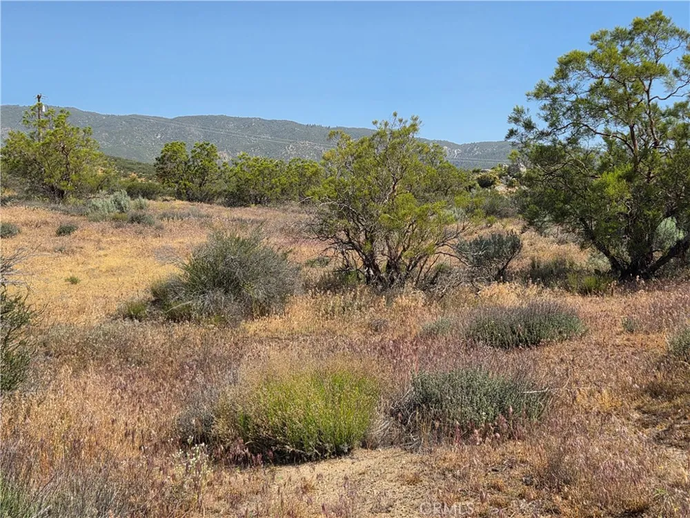 56941 Cain Anza, CA 92539