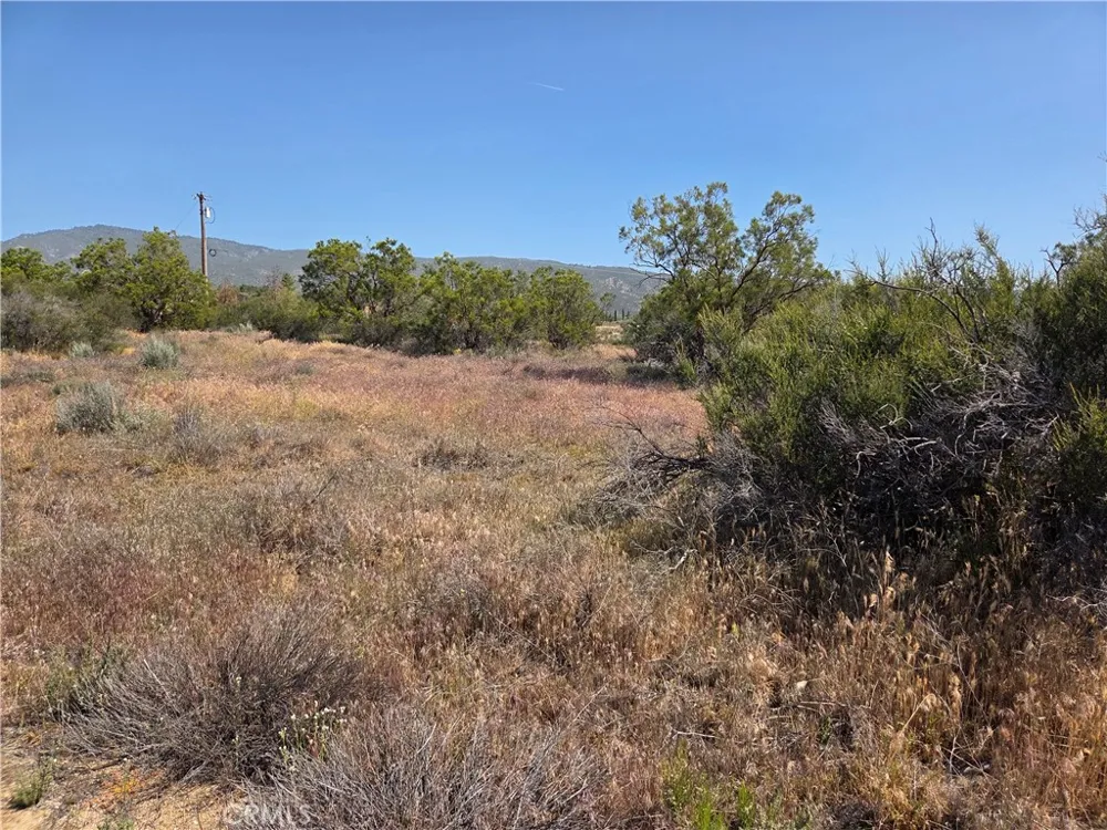 56941 Cain Anza, CA 92539