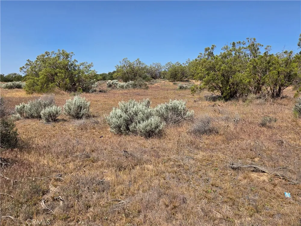 56941 Cain Anza, CA 92539