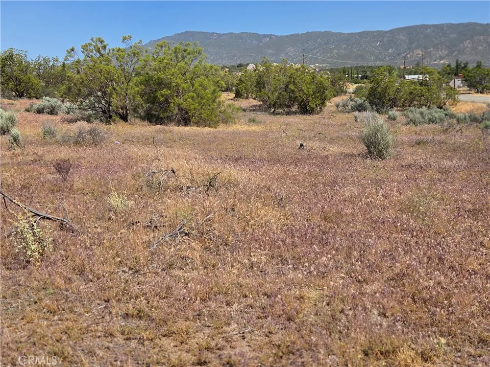 56941 Cain Anza, CA 92539