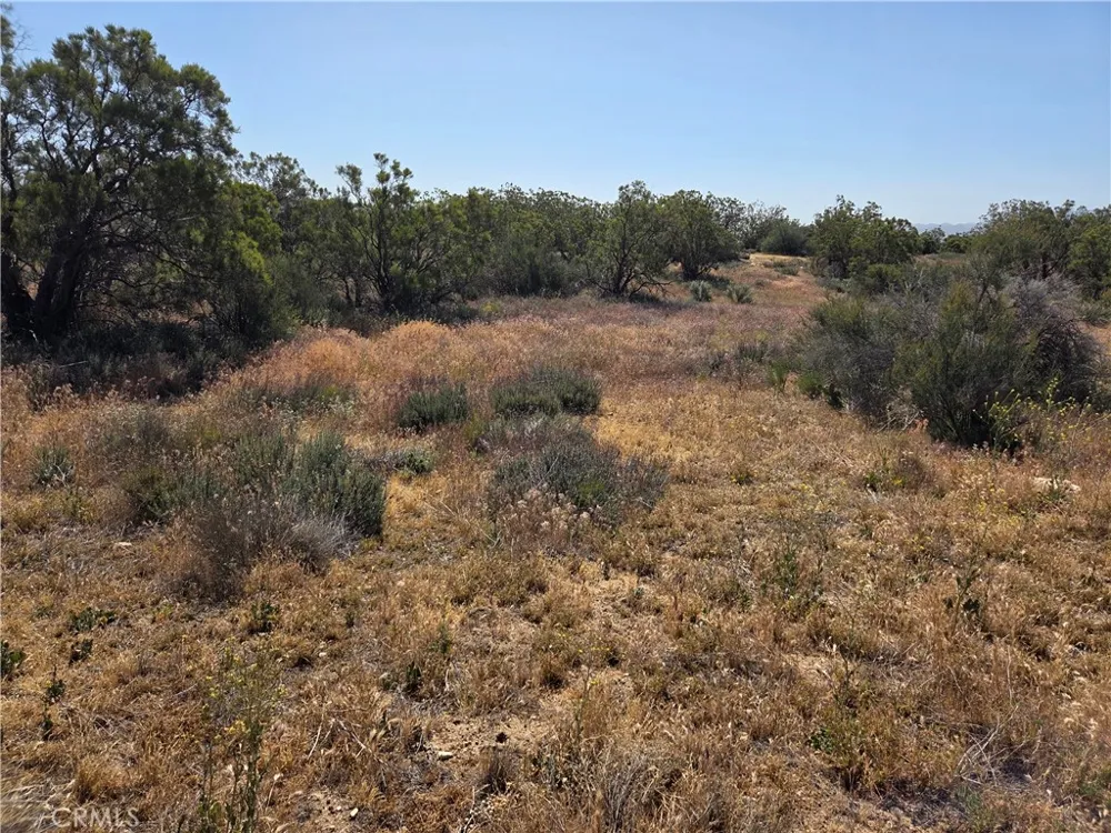 56941 Cain Anza, CA 92539