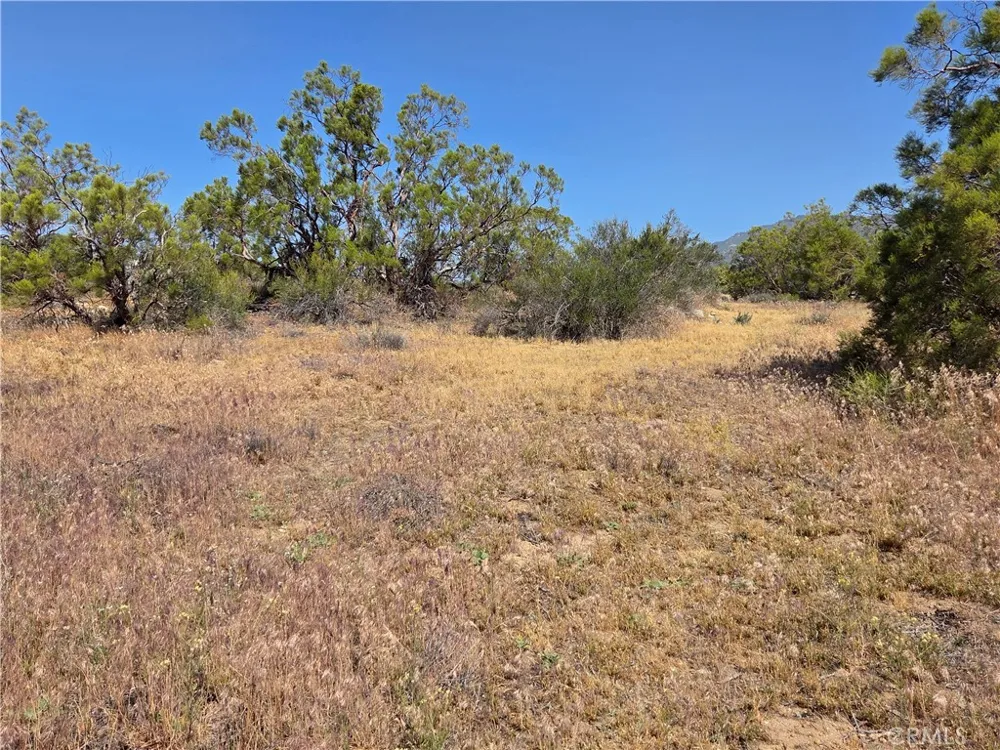 56941 Cain Anza, CA 92539
