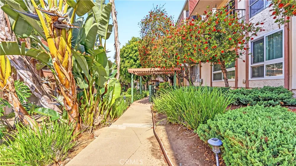 5585 E Pacific Coast #230 Long Beach, CA 90804