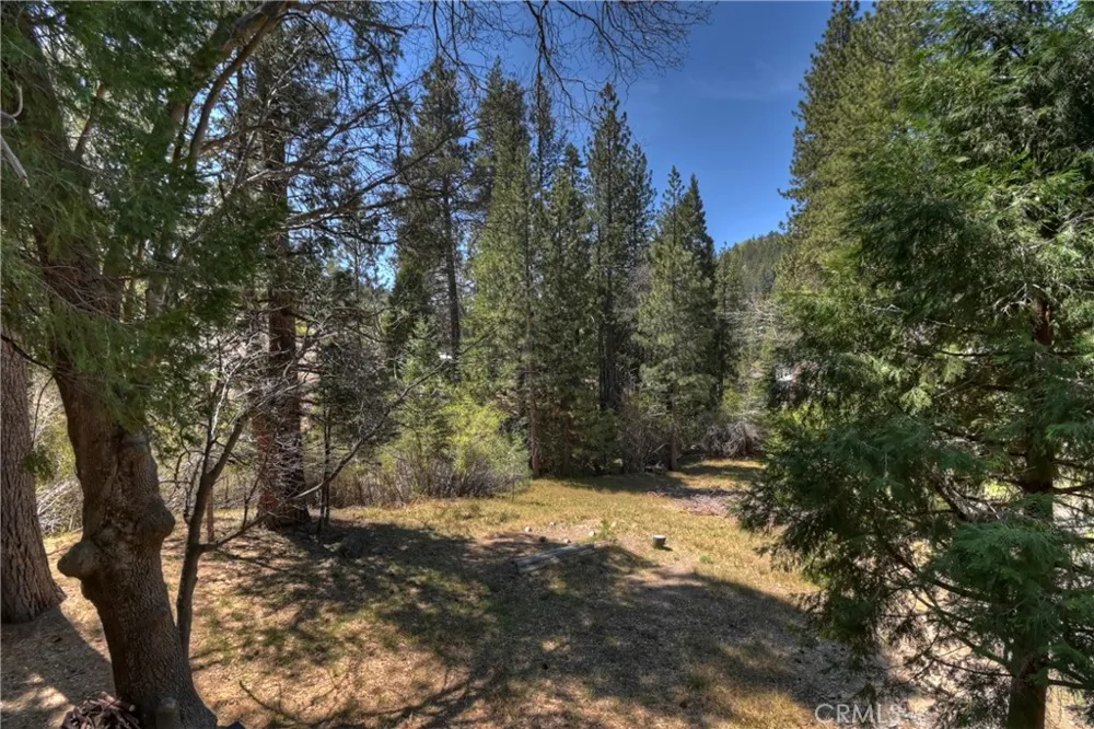 32868 Conifer Camp Road Running Springs, CA 92382