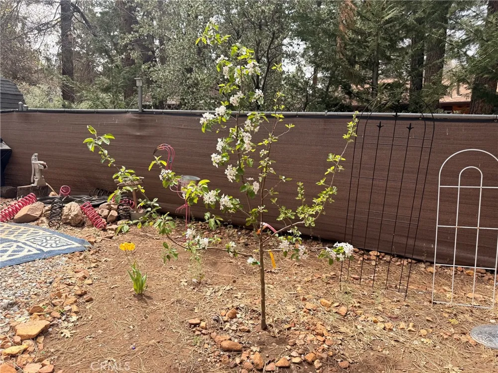 364 Leonard Sugarloaf, CA 92386
