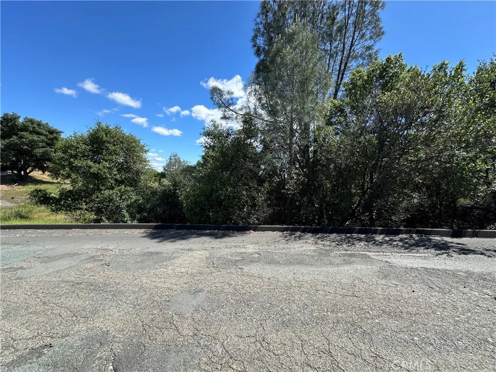 12361 Cerrito Clearlake Oaks, CA 95423