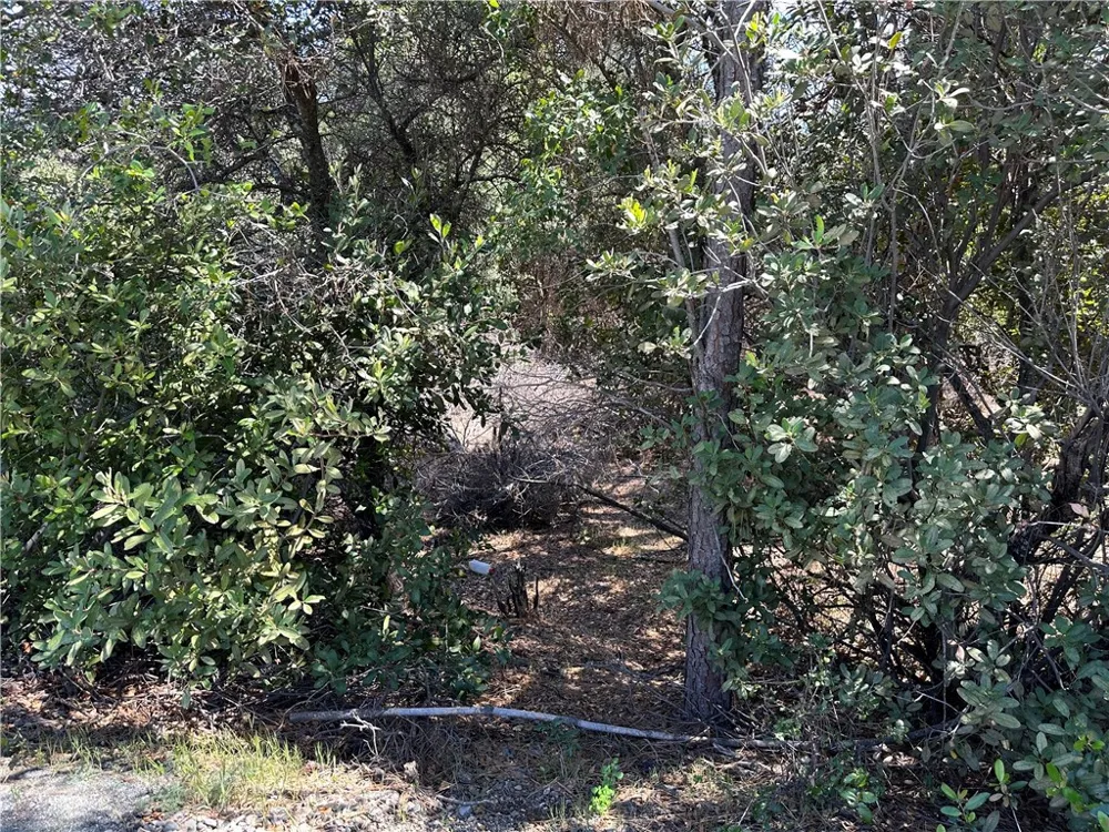 12361 Cerrito Clearlake Oaks, CA 95423