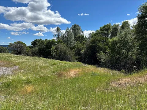 12361 Cerrito