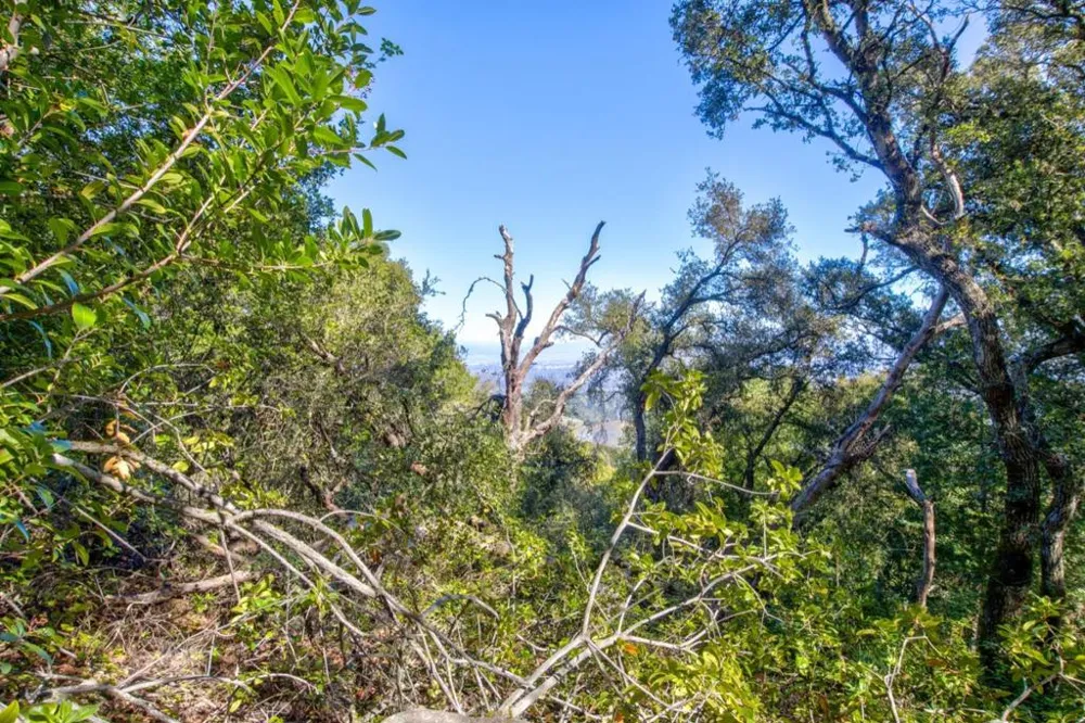 Montebello Road Cupertino, CA 95014
