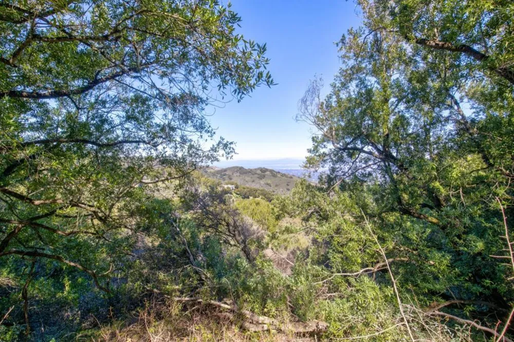 Montebello Road Cupertino, CA 95014
